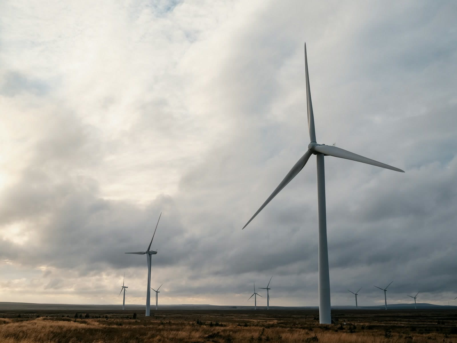 Wind turbines on open moorland under a grey, broken sky